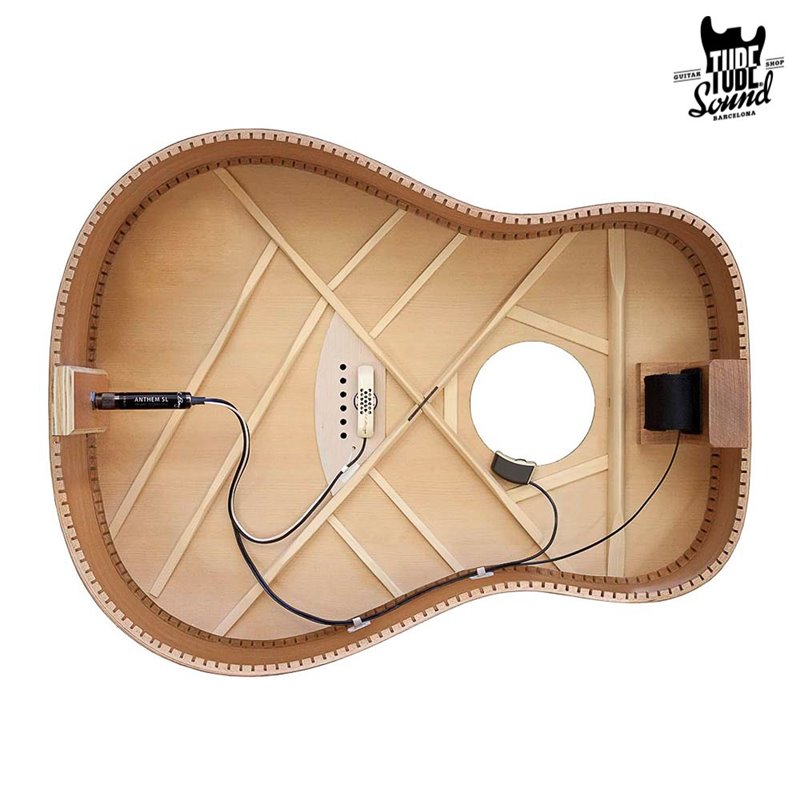 LR Baggs Anthem SL