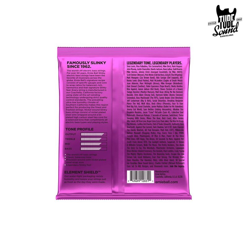 Ernie Ball 2831 Power Slinky Bass Custom 55-110