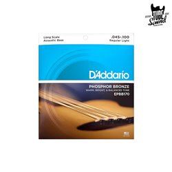 D'Addario EPBB170 Phosphor Bronze Acoustic Bass Light 45-100