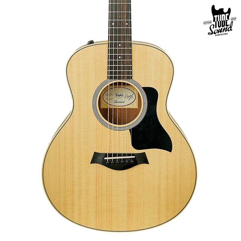 Taylor GS Mini e Rosewood Plus